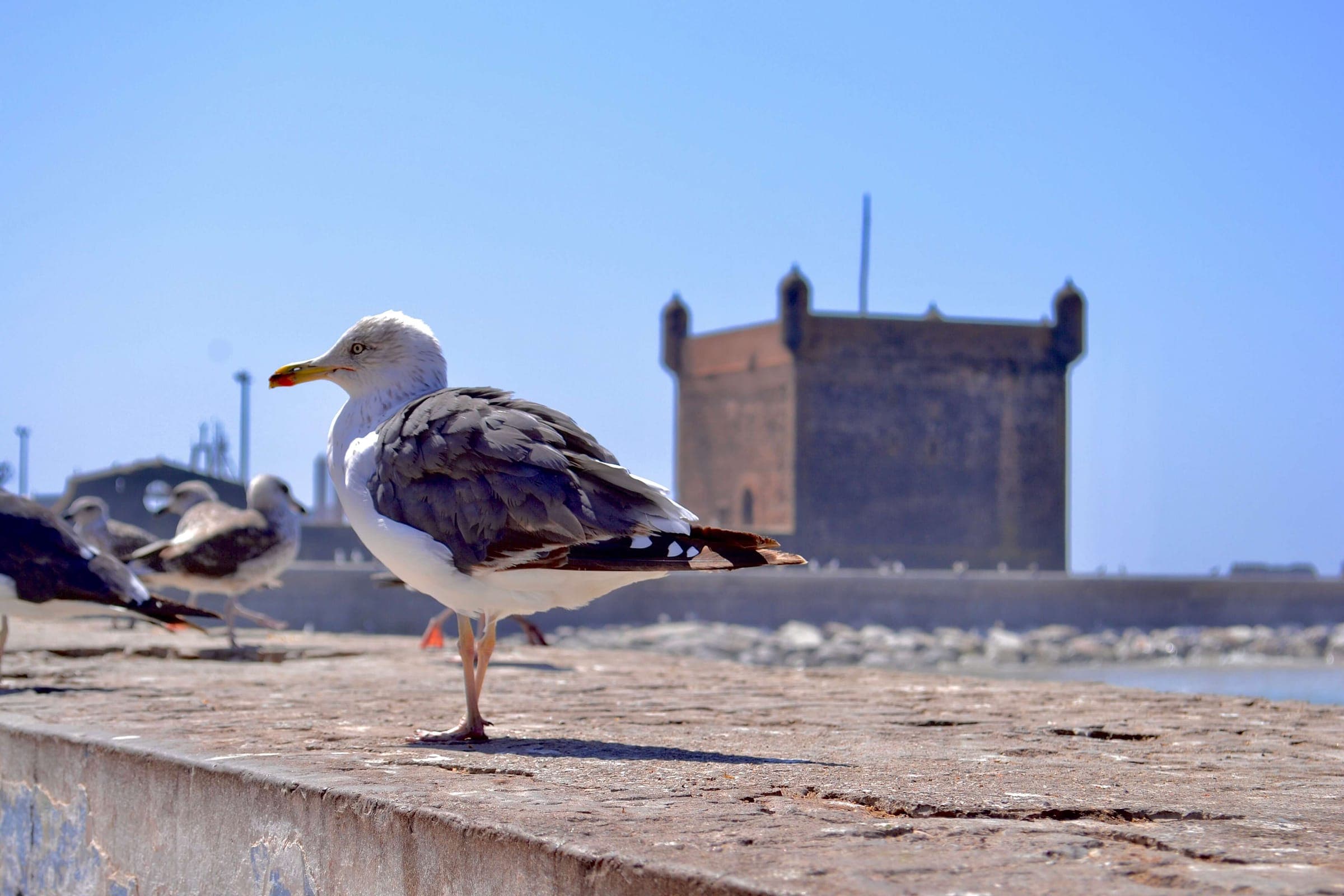Essaouira
