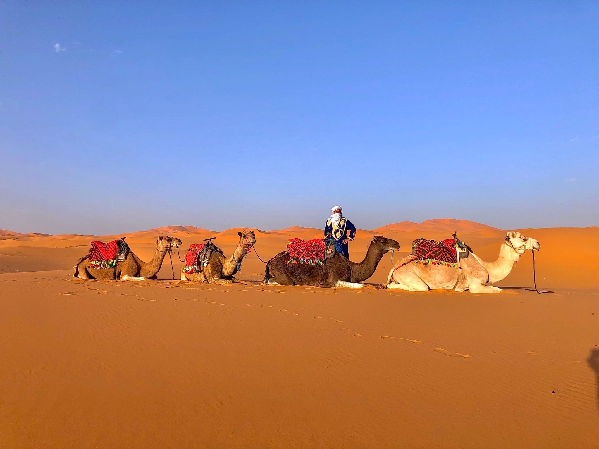 3 Day Sahara Desert Tour From Marrakech to Fes
