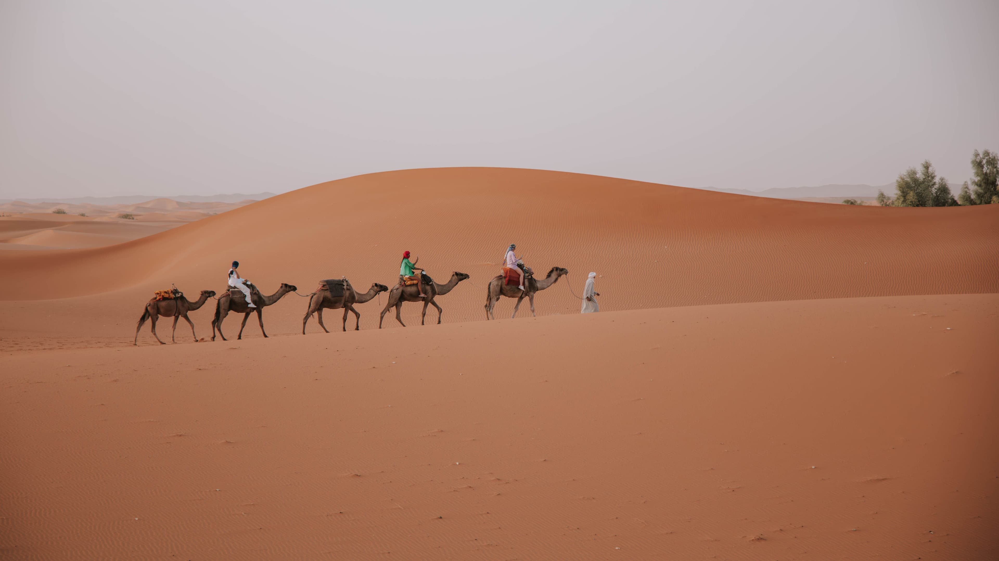 Escorted Morocco Tours