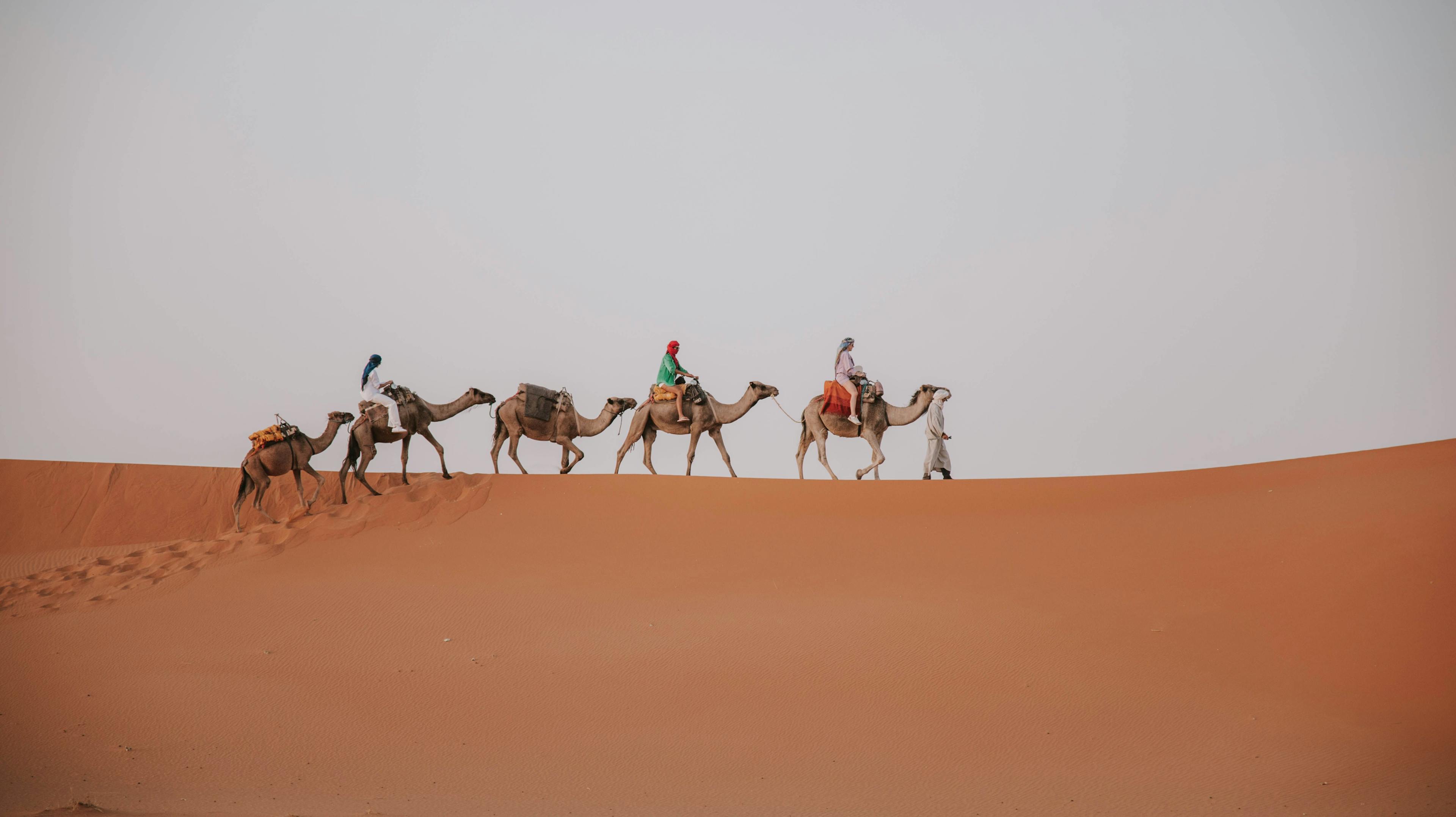 Discover the Merzouga Desert on a 3-Day, 2-Night Adventure from Fes