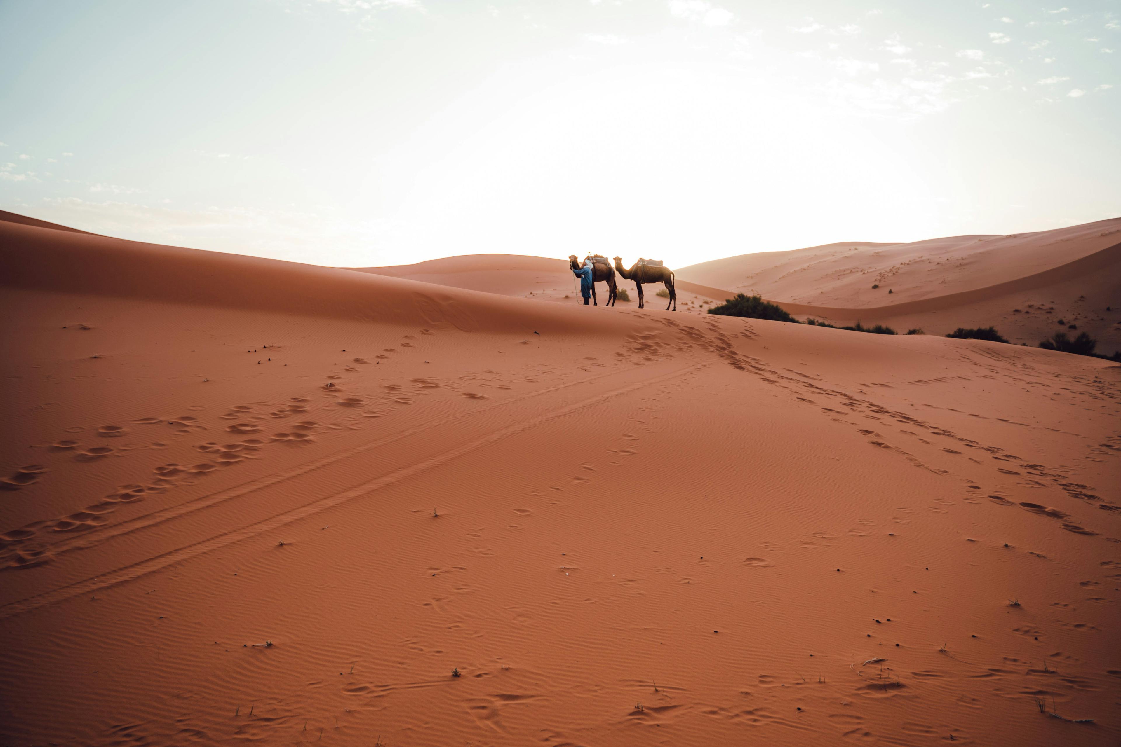5 Days Morocco Desert Tour from Fes to Marrakesh