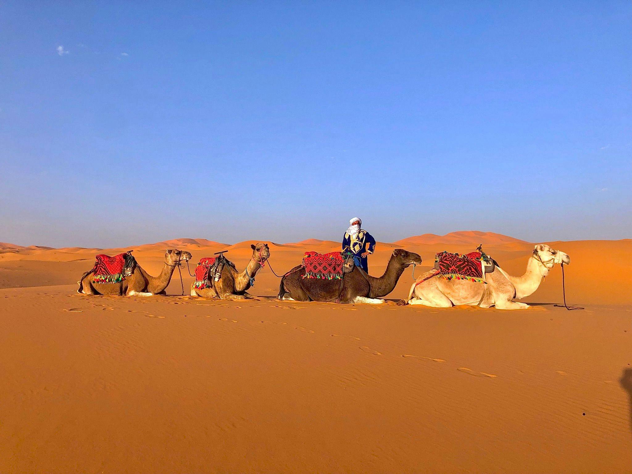  3 Days Sahara Desert Tour From Marrakech to Fes