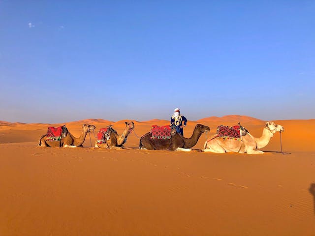 3 Day Sahara Desert Tour From Marrakech to Fes